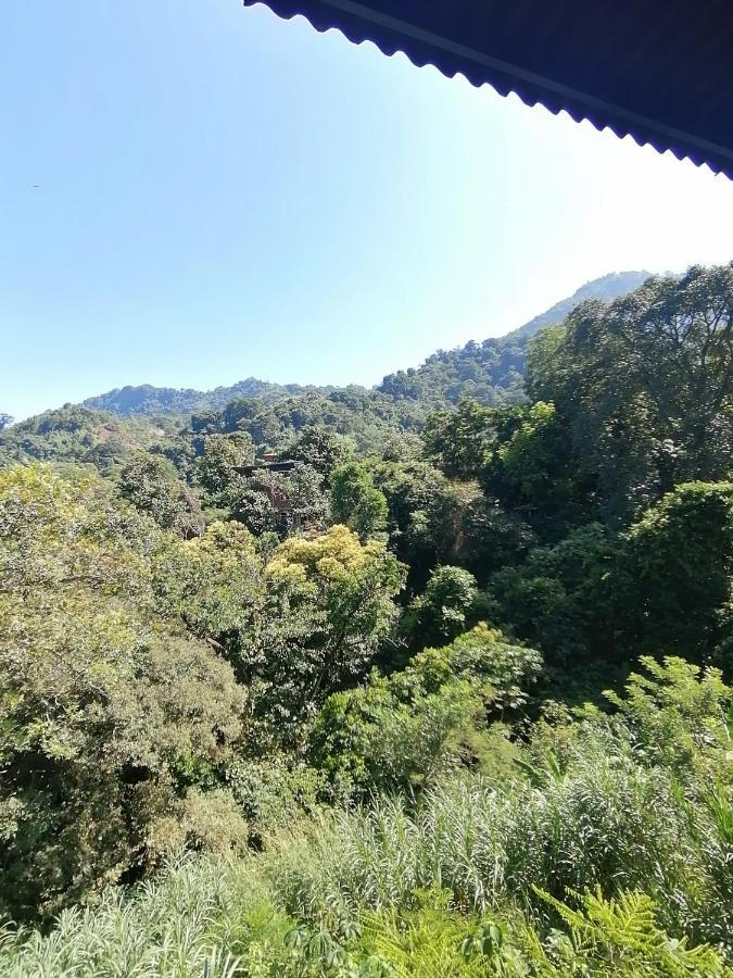 ミンカ Pistachoホステル エクステリア 写真
